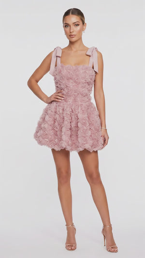 Sorelle Rose Mini Dress - Size Medium